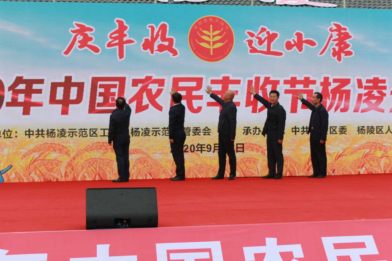在.jpg