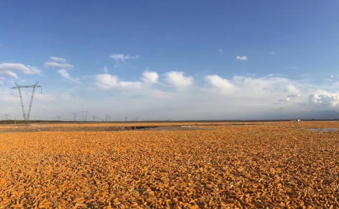 微信图片_20201203091149.jpg 微信图片_20201203091149.jpg