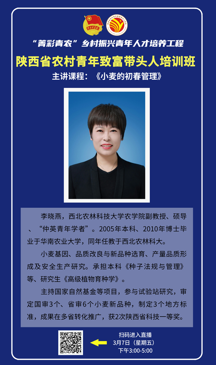 李晓燕海报（新闻）.jpg
