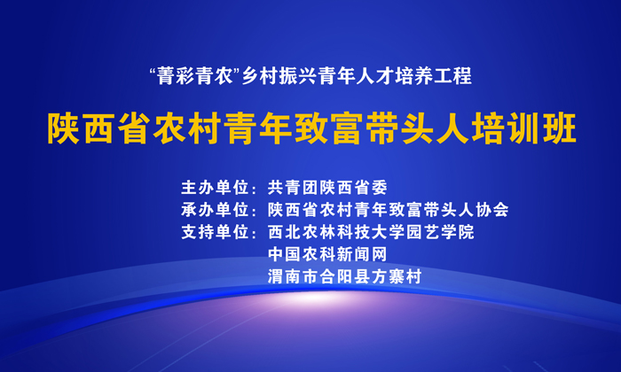 培训封面新闻01.jpg
