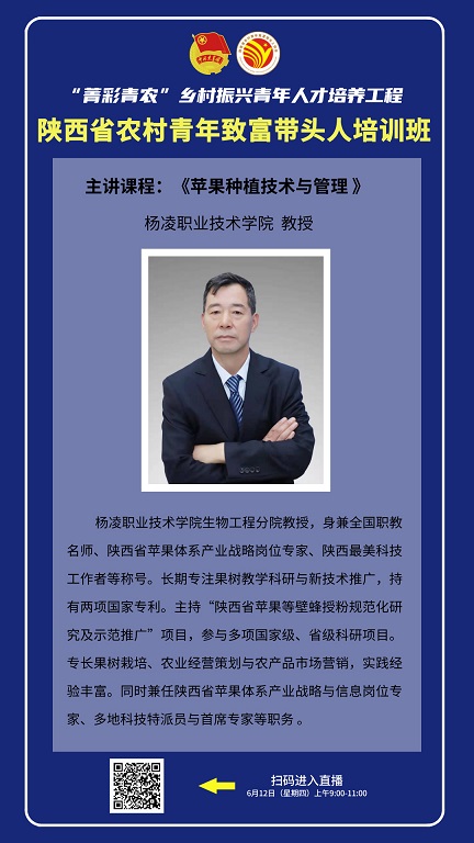 苹果管理.jpg