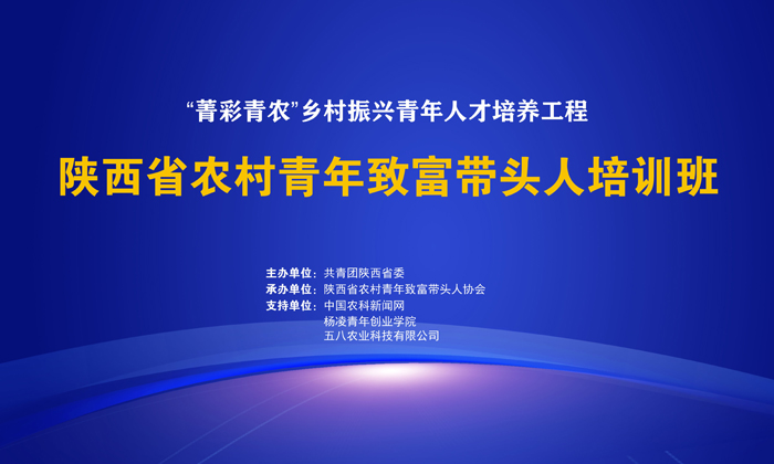新闻02.jpg