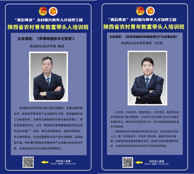 图形1.jpg